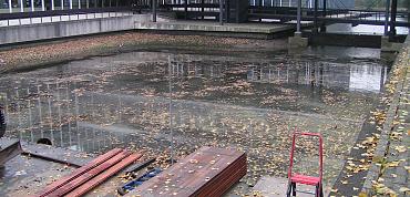Universiteit Leiden